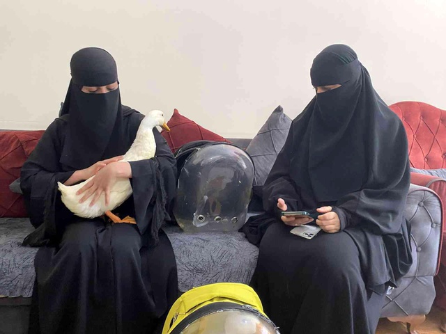 Bahçeşehir'deki ördekleri çantasına koydukları iddia edilen kadın yaşananları anlattı Bahçeşehir'deki ördekleri çantasına koydukları iddia edilen kadın yaşananları anlattı