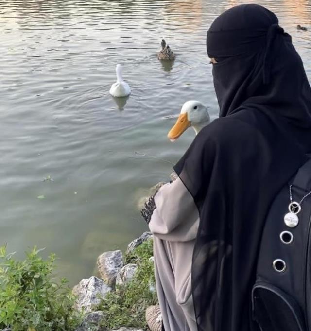 Bahçeşehir'deki ördekleri çantasına koydukları iddia edilen kadın yaşananları anlattı Bahçeşehir'deki ördekleri çantasına koydukları iddia edilen kadın yaşananları anlattı