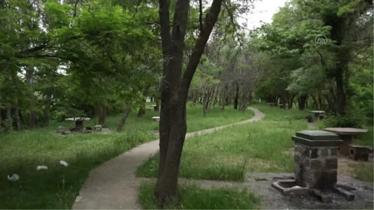Bingöl Belediyesi, atıl olan parkı mesire alanına dönüştürdü