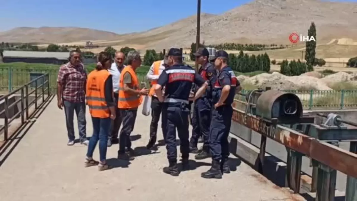 Ceyhan Nehri'nde oksijensiz kalan balıklar telef oldu