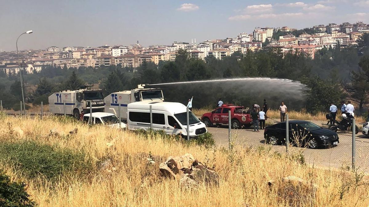 Gaziantep\'te orman yangını