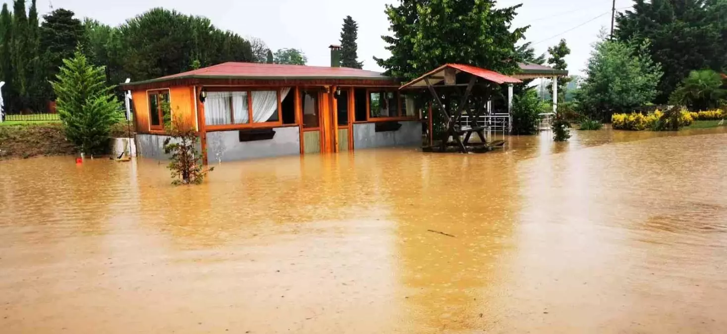 Ordu\'da dereler taştı, kümes hayvanları telef oldu