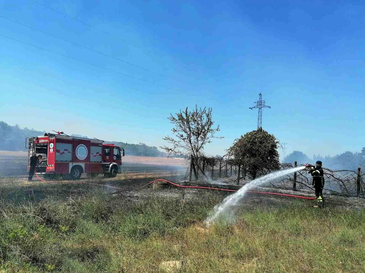 Sigara izmariti anız yangınına neden oldu