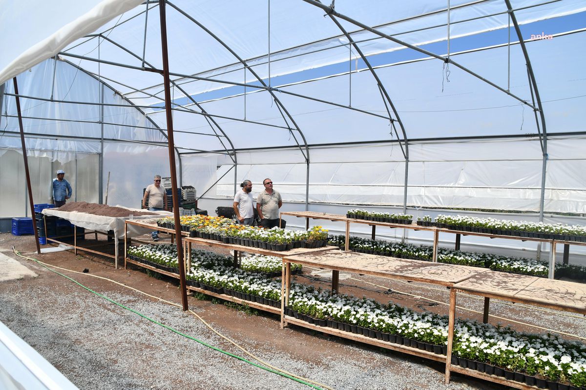 Söke Belediyesi'nin Serasında Kapasite Artırılıyor