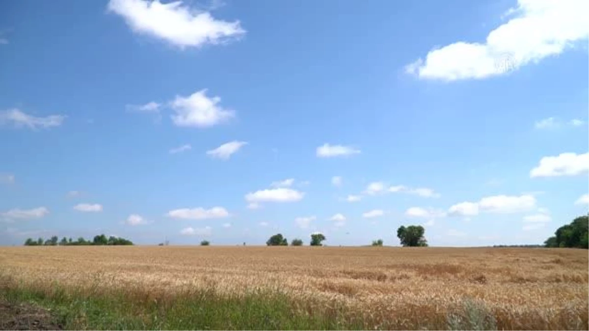 Ukrayna\'nın Luhansk bölgesinde, Rus güçlerinin kontrolü altındaki tarım alanları havadan görüntülendi