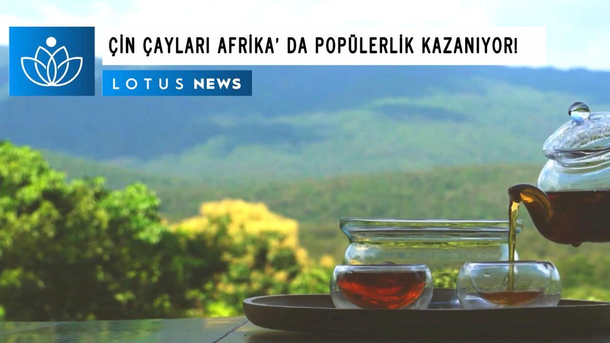 Video: Çin\'in Doğusundan Gelen Çay Ürünleri Afrika\'da Popülerlik Kazanıyor