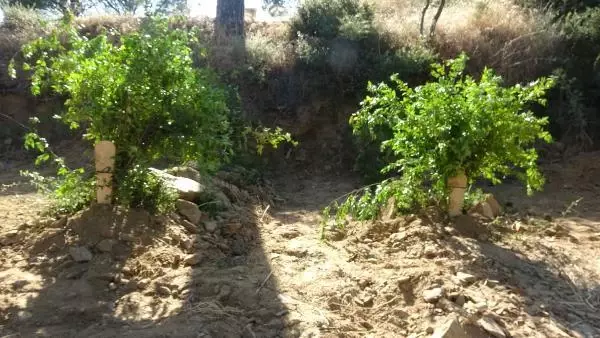 62 yıllık evli çifti ölüm bile ayıramadı! 2 saat arayla aynı kaderi yaşadılar
