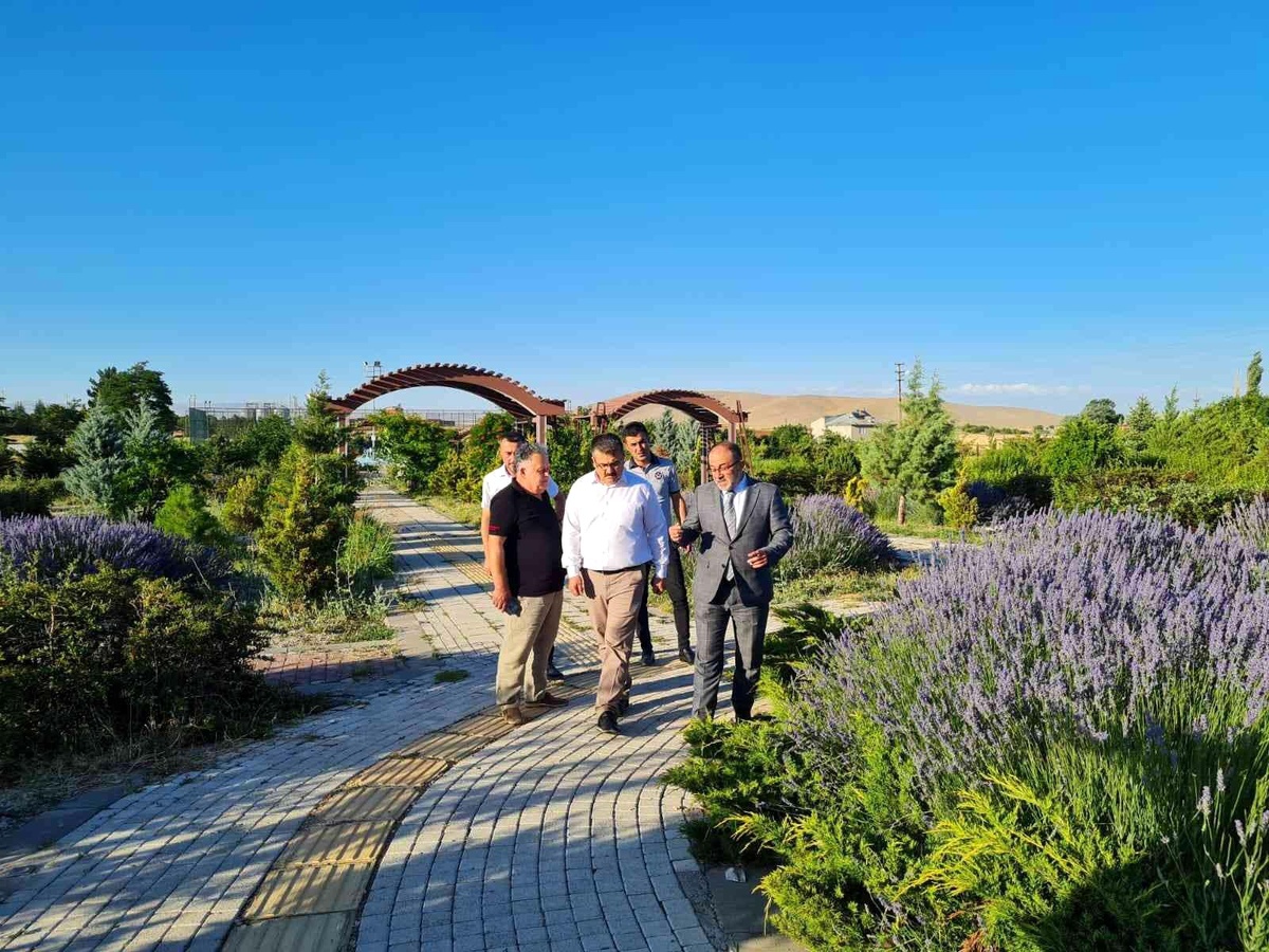 Peyzaj amaçlı 15 kökle lavanta üretimine başlayan Afşin Belediyesi hedef büyüttü