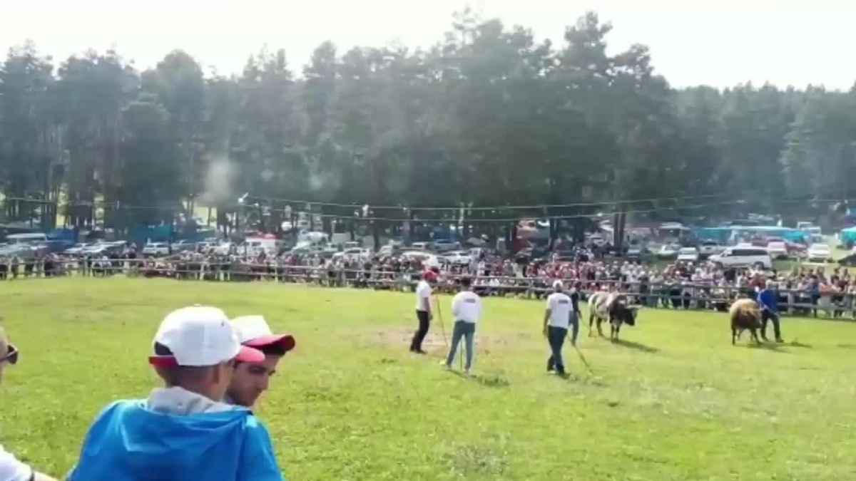 Artvin Ardanuç\'ta Bu Yıl 116\'ncısı Yapılan Dalahet Şenlikleri Sona Erdi