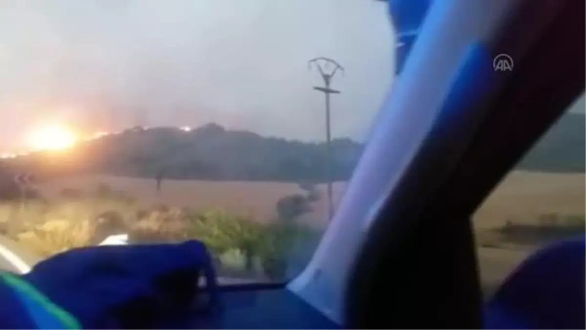 Avrupa\'da orman yangınları etkisini sürdürüyor