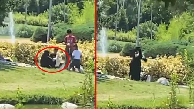 Başakşehir'de gölete bırakılmak istenen ördekler Ankara'da korumaya alındı