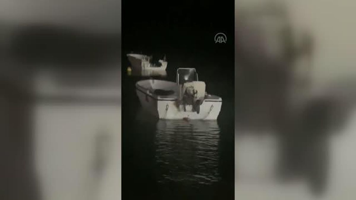 Büyükçekmece'de balıkçı teknesine su samuru çıktı