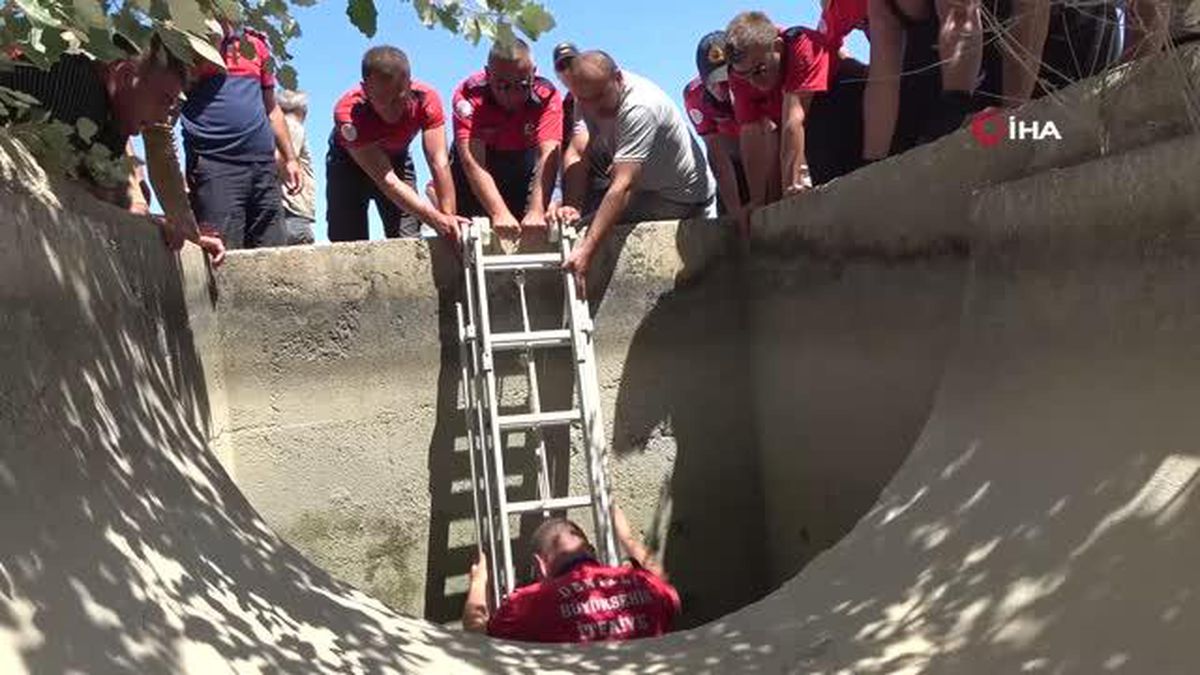 Sulama kanalında boğulan Hakkı'nın akrabası Sezer Bardan: 'Küçük yaşta onu kaybetmek üzücü oldu'