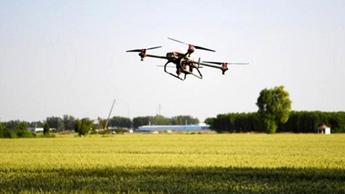 Çin'in Tahıl Üretiminin 2022'de Sabit Kalması Bekleniyor