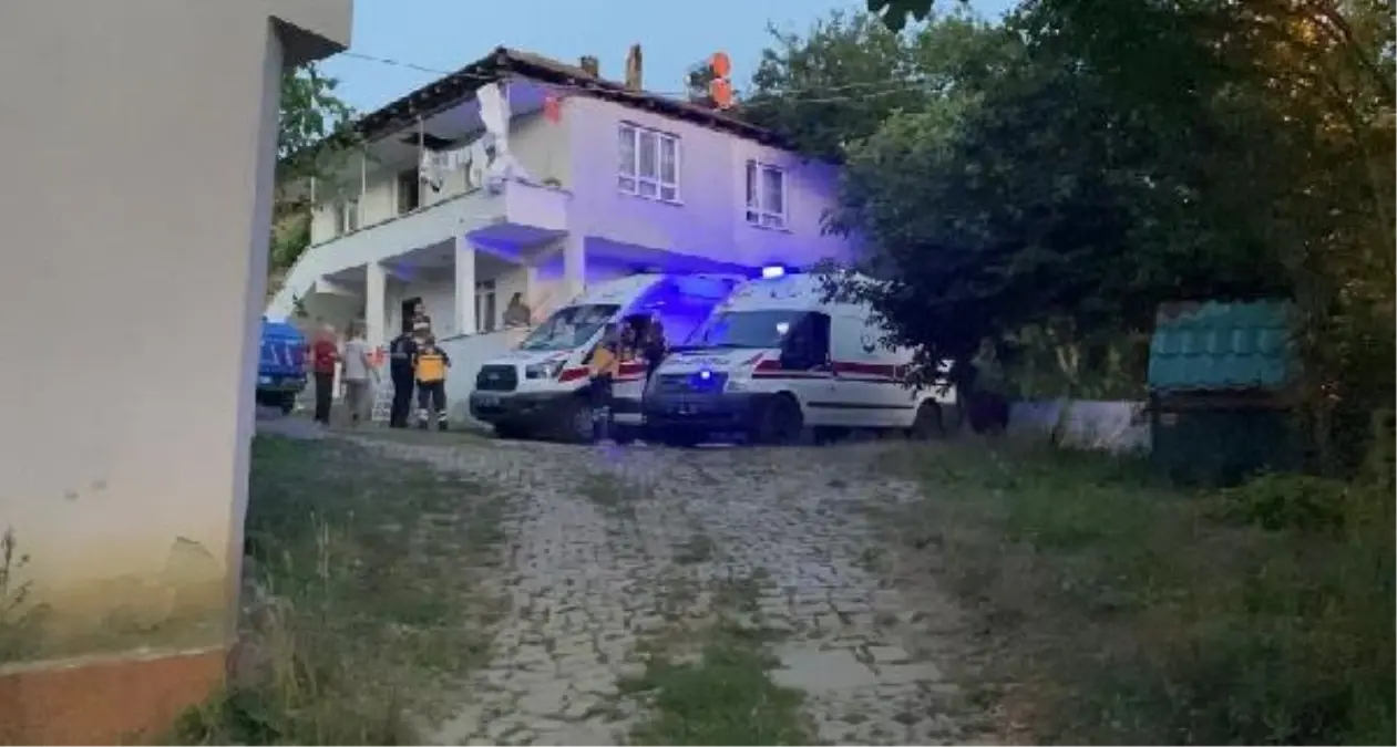 Son dakika haberleri... Fındık bahçesinde çalışan aileye pusu kurup, ateş açtılar: 3 ölü, 1 yaralı