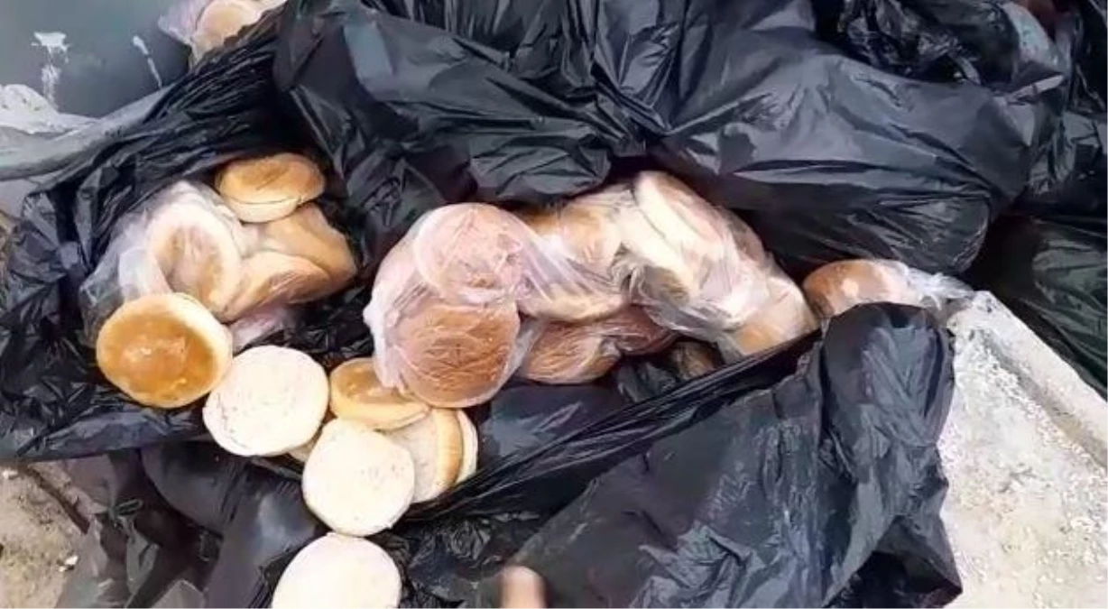İsrafın böylesi: 15 poşet ekmeği çöpe bıraktılar