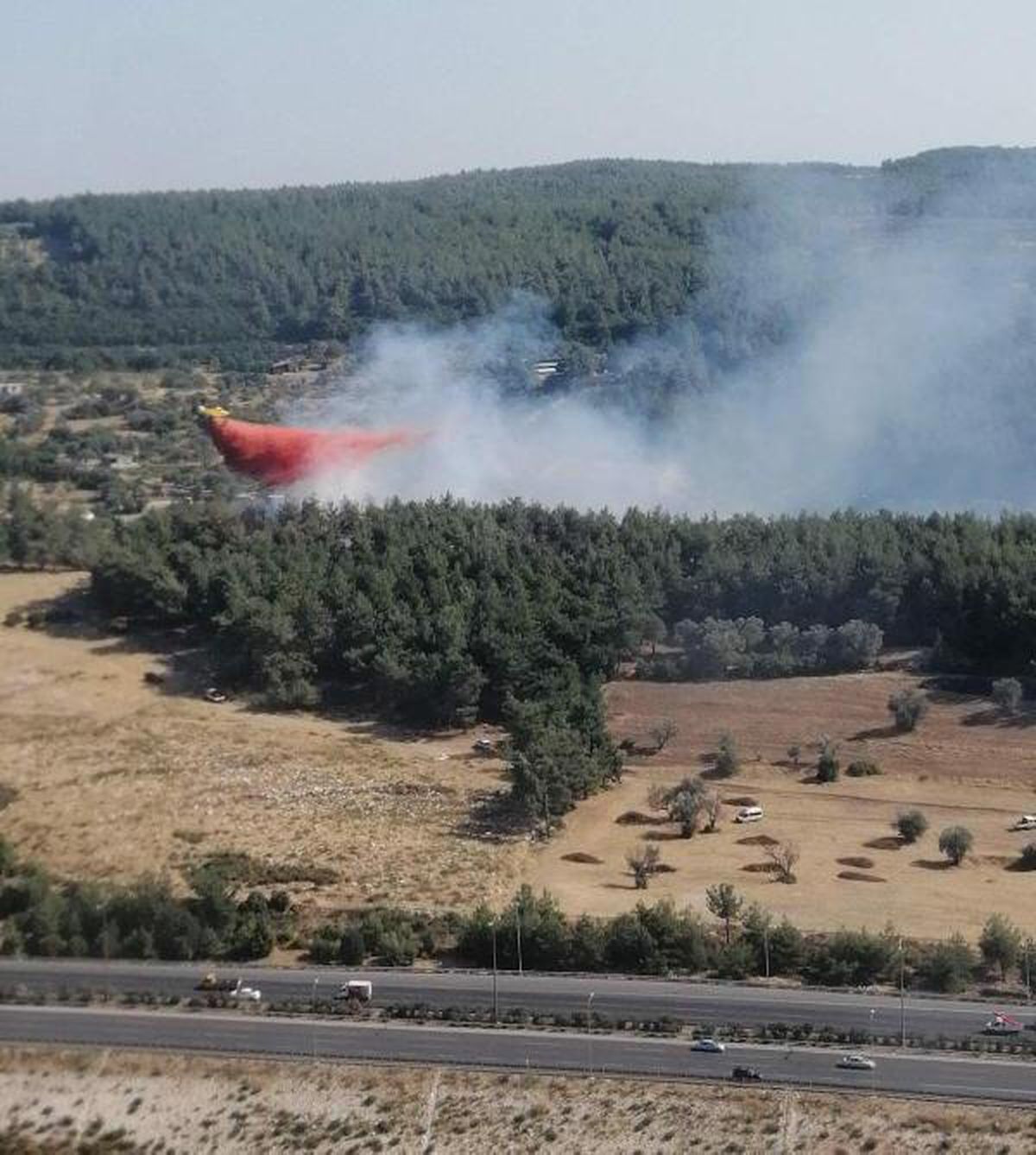 Son dakika haberleri: İzmir'de orman yangını