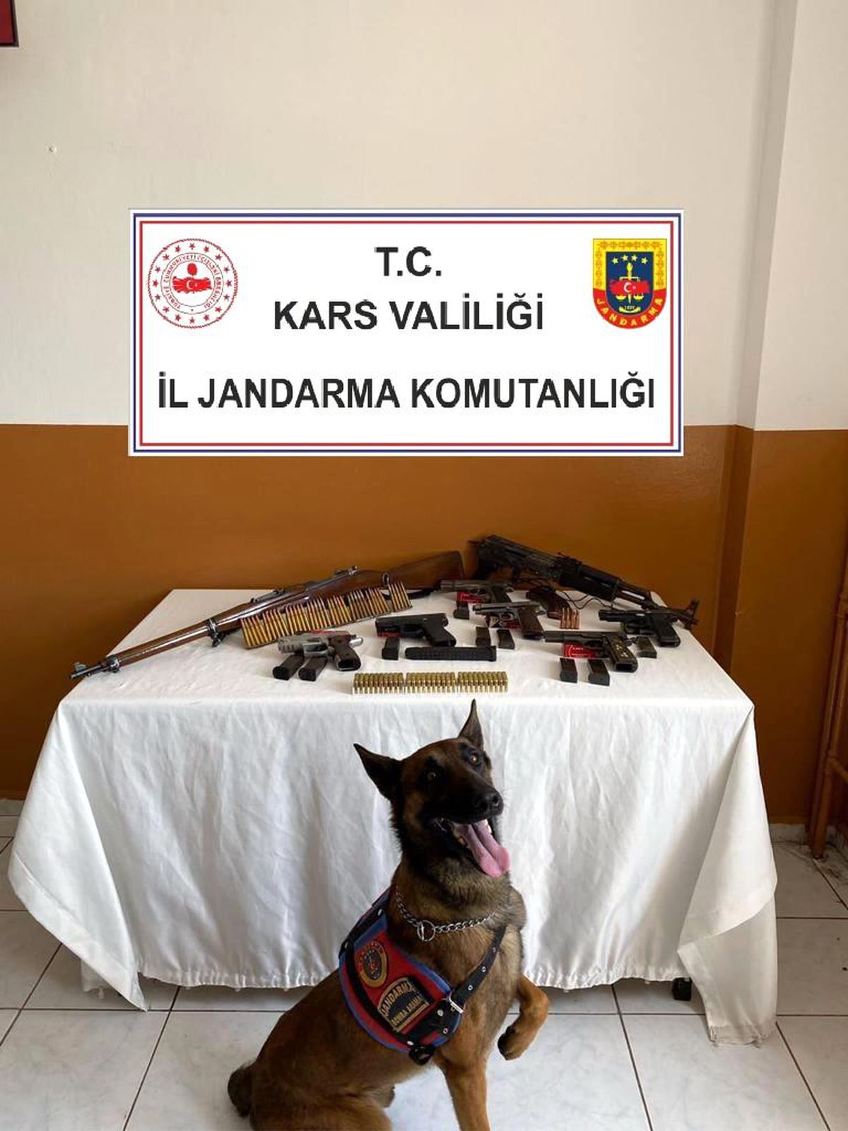Kars\'ta jandarmadan ruhsatsız silah operasyonu