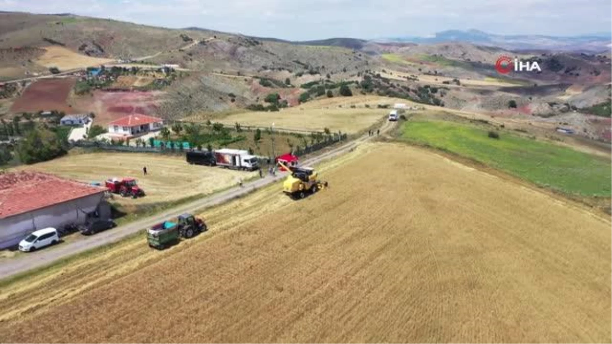 Keçiören Belediye Başkanı Turgut Altınok, buğday hasadına katıldı