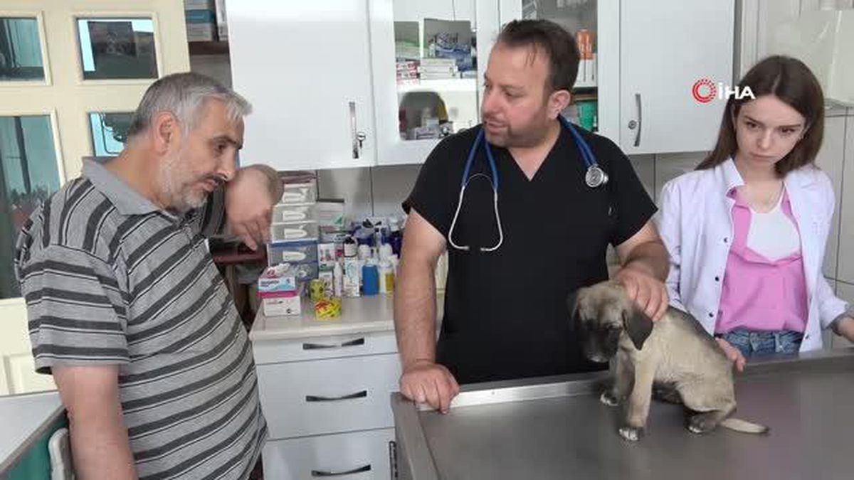 Kenelerin, hayvanlarla yayılmasına karşı uyarı