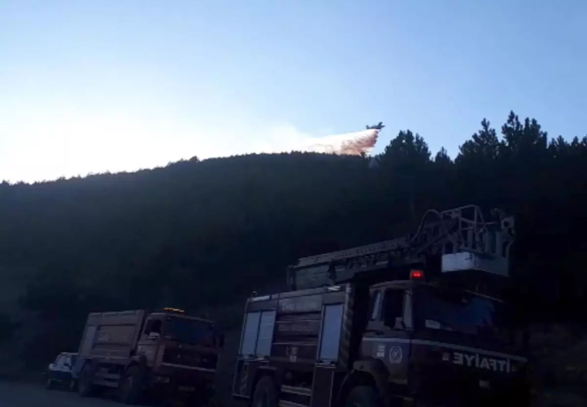 Son dakika haberi | Kütahya'da ormanlık alanda çıkan yangına müdahale ediliyor