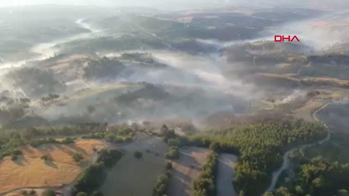 MANİSA'DAKİ ORMAN YANGININDA 85 HEKTAR ORMAN VE 100 HEKTAR TARIM ARAZİSİ ZARAR GÖRDÜ, 2 GÖZALTI