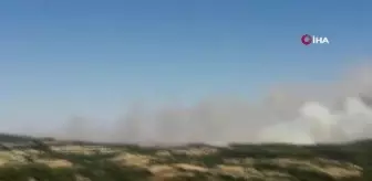 Son dakika 3. sayfa: Manisa'daki orman yangınında185 hektar orman ve tarım alanı zarar gördü