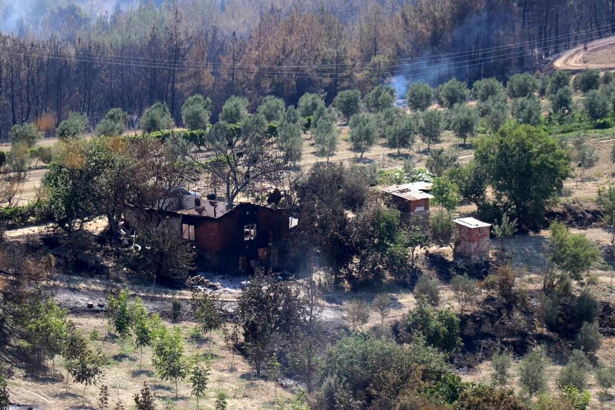 Son dakika haberleri... Manisa\'daki orman yangınıyla ilgili 2 kişi tutuklandı