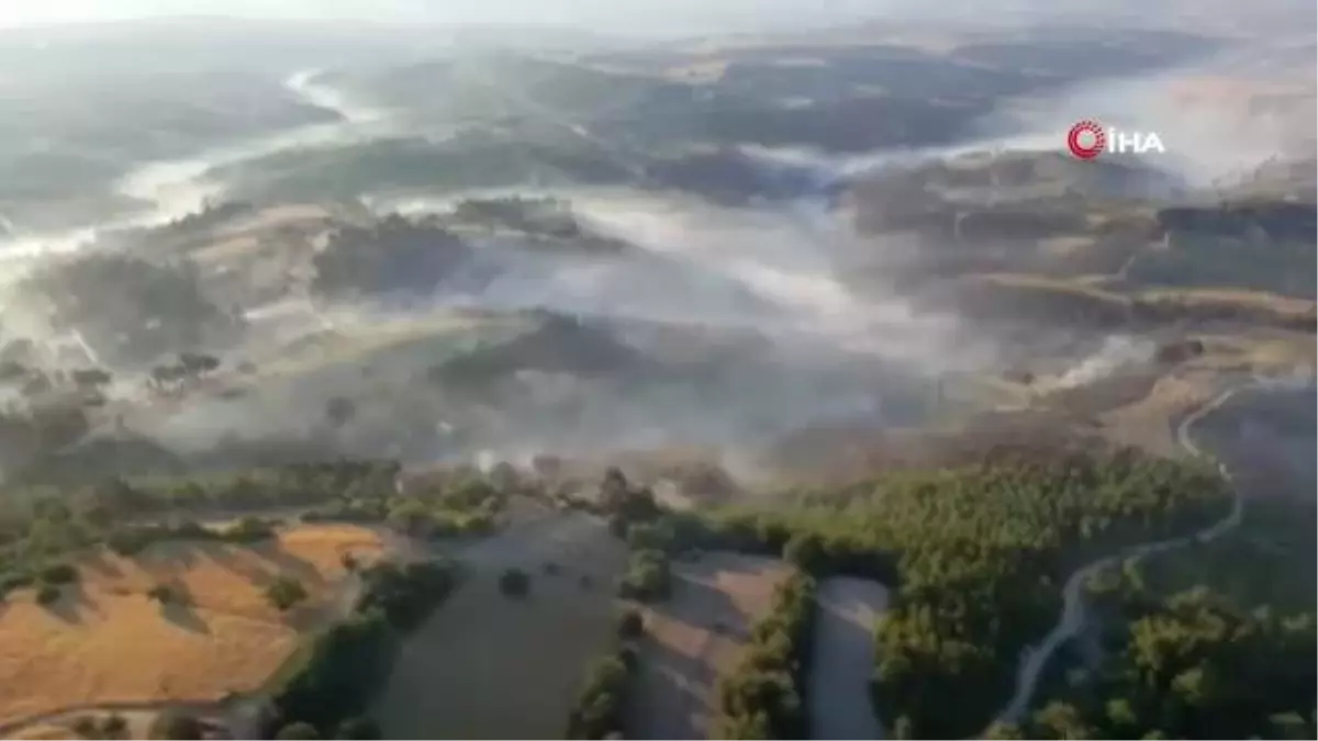 Son dakika haberleri... Manisa Gördes'teki orman yangını kontrol altına alındı