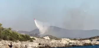 Son dakika: Milas'ta ormanlık ve makilik alanda çıkan yangın kontrol altına alındı