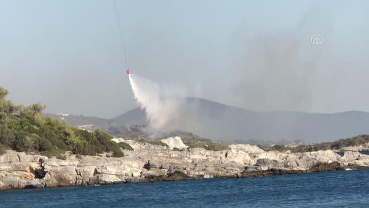 Son dakika: Milas'ta ormanlık ve makilik alanda çıkan yangın kontrol altına alındı