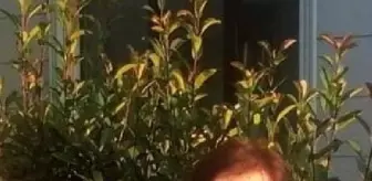Milyonlarca liralık serveti, evlatlık kızı ile kiracısını birbirine düşürdü