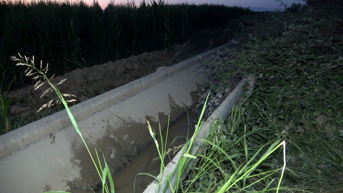 Son dakika haberi | Sazlıkların arasında ölü bulunan Rafet'in cansız bedeni morga kaldırıldı