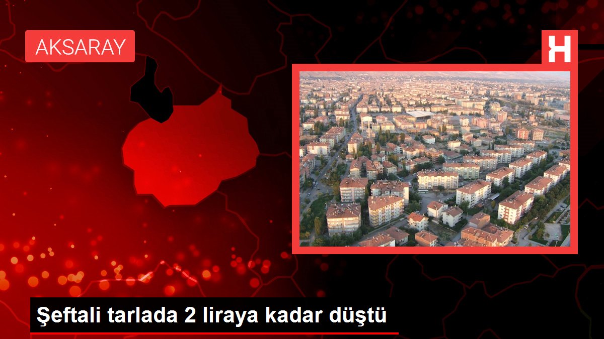 Şeftali tarlada 2 liraya kadar düştü
