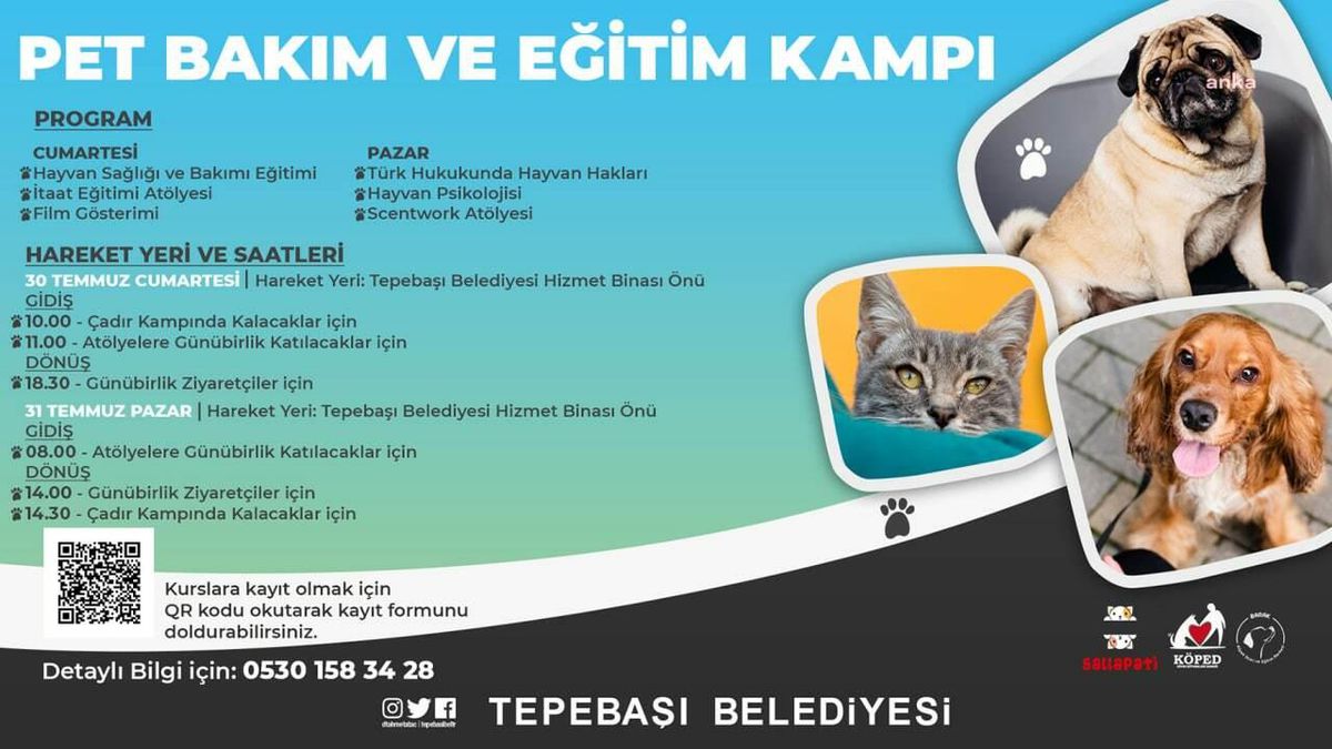 Tepebaşı Belediyesi\'nden Pet Eğitimi ve Bakım Kampı