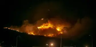Orman yangınını söndürme çalışmaları sürüyor (3)