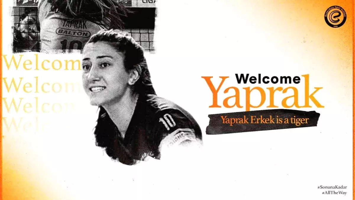 Son dakika... Eczacıbaşı Dynavit, smaçör Yaprak Erkek\'i transfer etti
