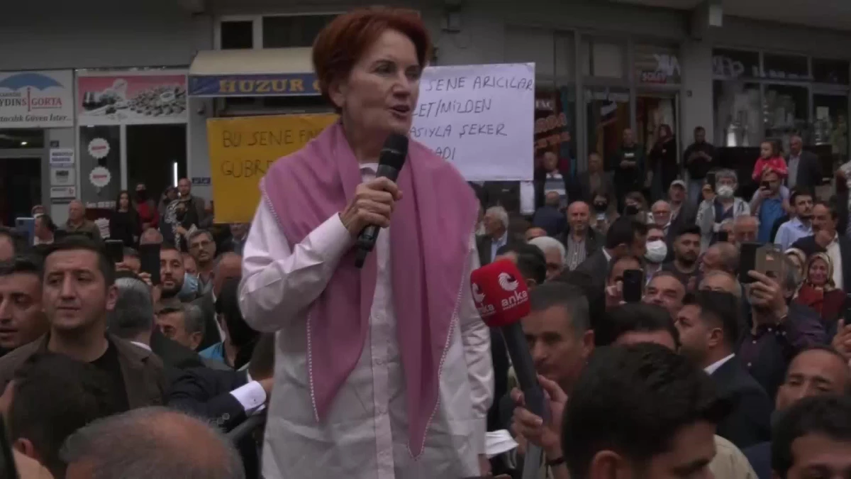 Akşener\'den Ordu\'da "Buradan Kim Bal Aldıysa Başbakan Oldu" Diyen Esnafa: "Karşılıklı Birbirimize Bereket Getirelim. Siz Bana Başbakanlık Ben Size...