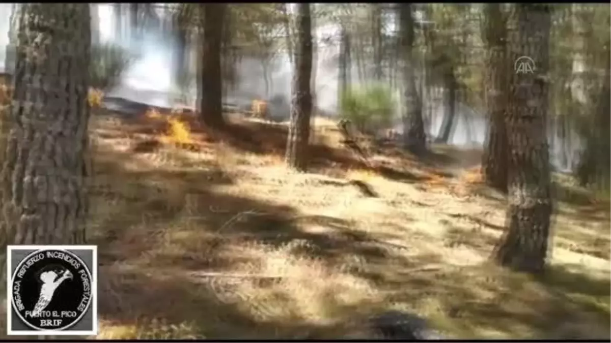 Avrupa\'da orman yangınları etkisini sürdürüyor