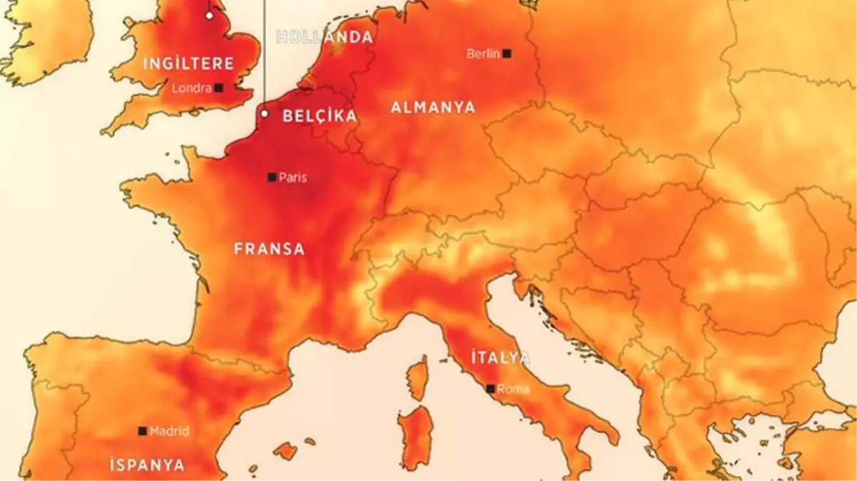 Avrupa\'da sıcak hava kabusu! Portekiz\'de can kayıpları bini aştı