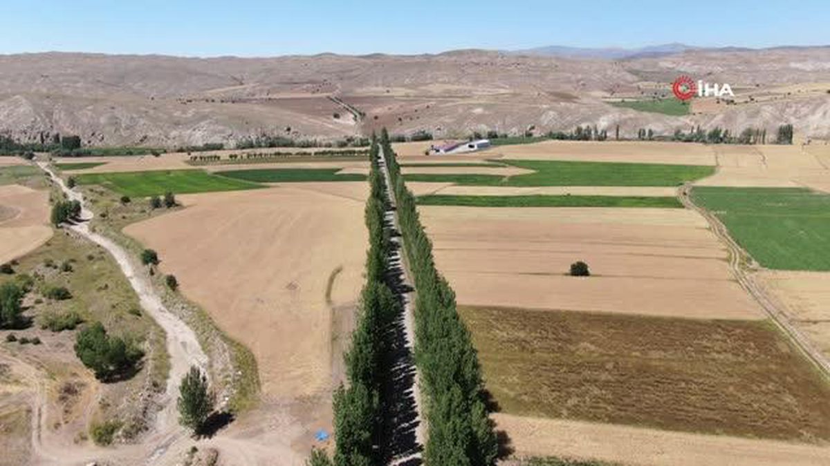 Bu koridora giren hayran kalıyor