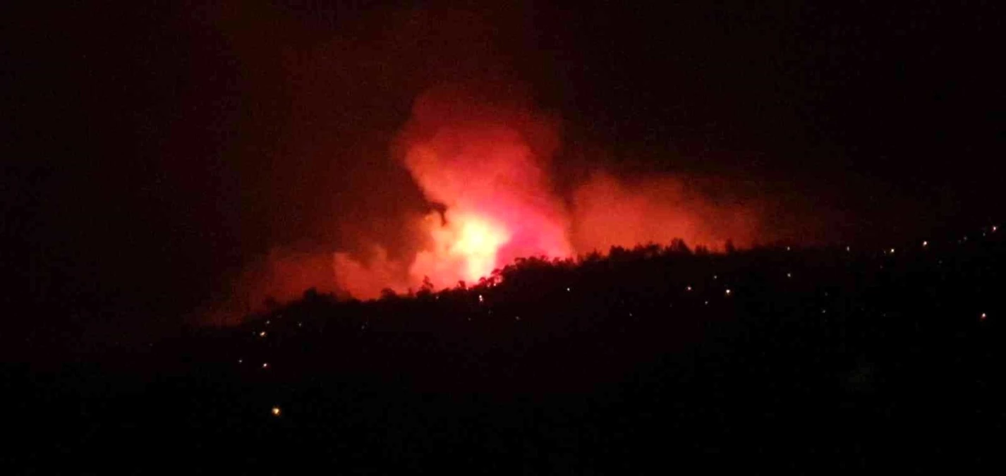 Son dakika... Karacasu\'da orman yangını büyümeden söndürüldü