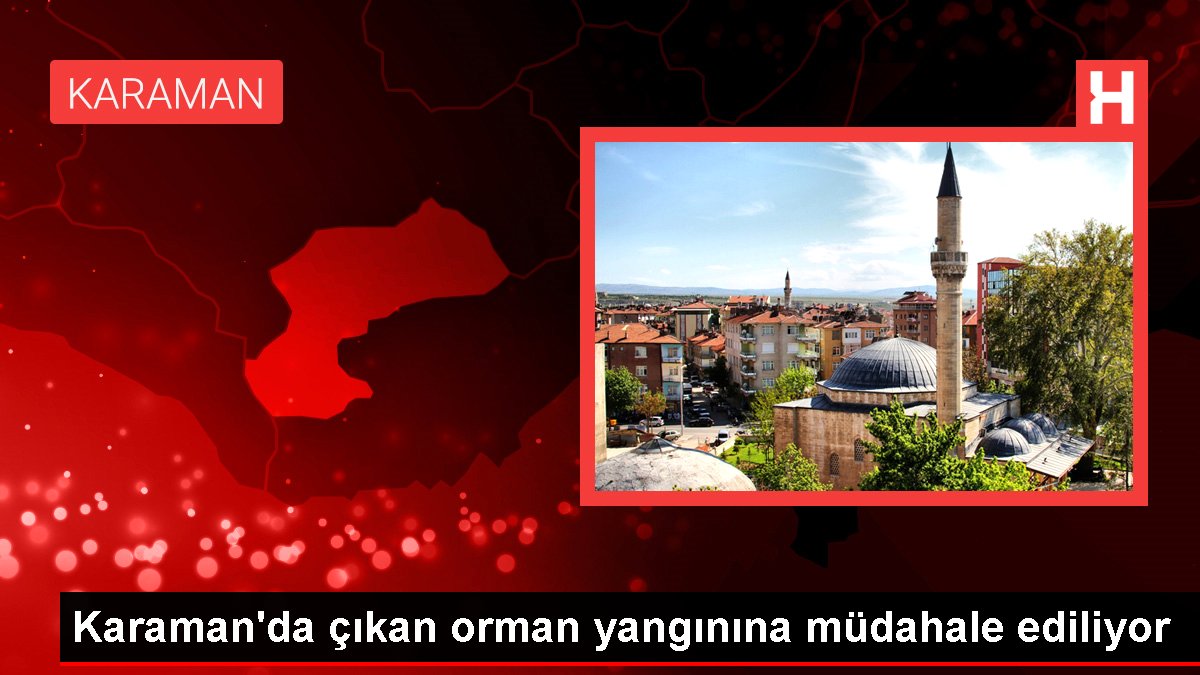 Karaman'da çıkan orman yangınına müdahale ediliyor