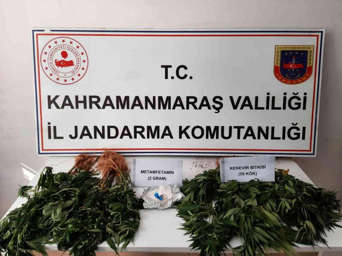 Kenevir ve sentetik uyuşturucu operasyonunda 1 gözaltı