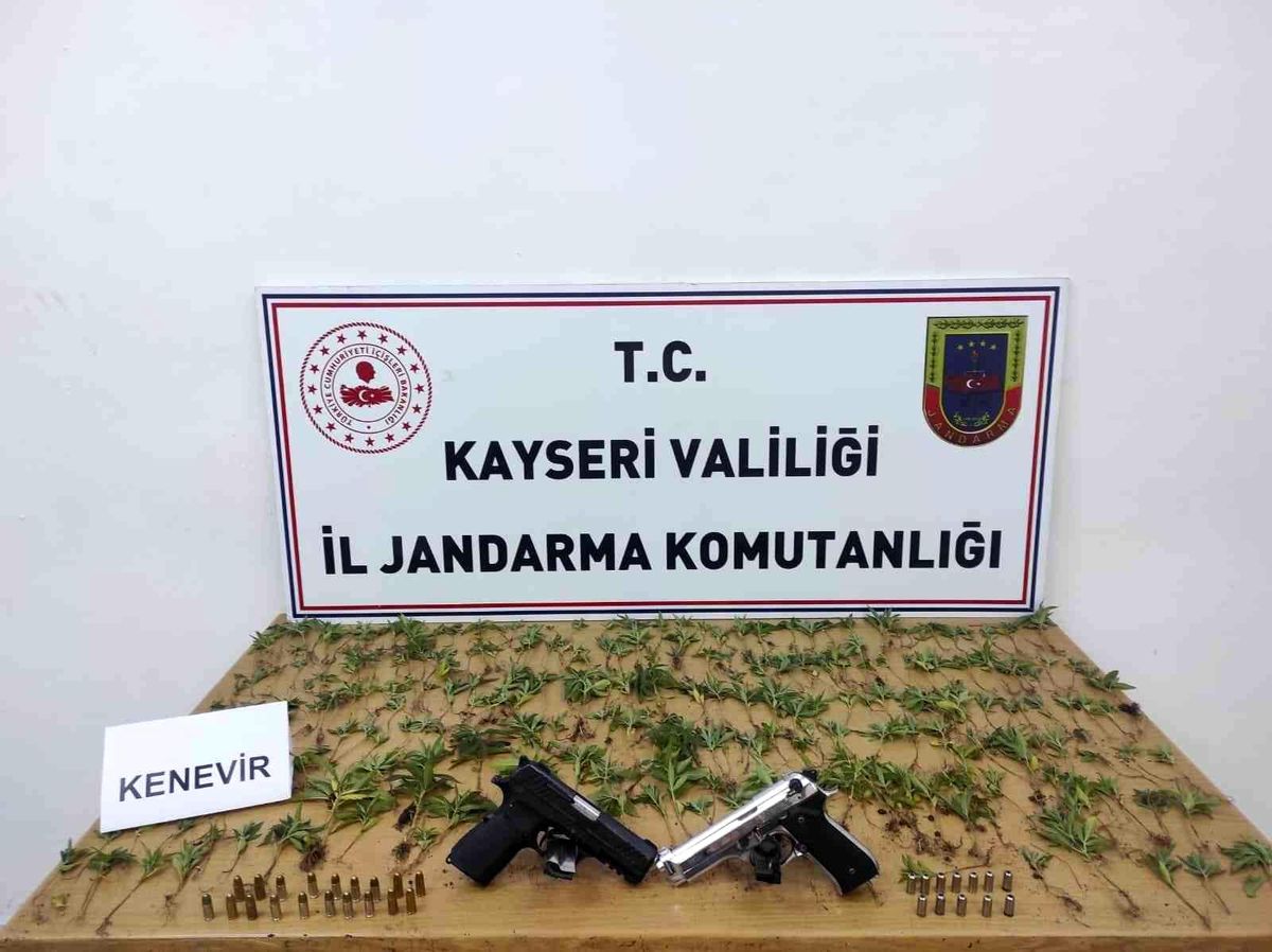 Kenevir yetiştiren şahıslara gözaltı