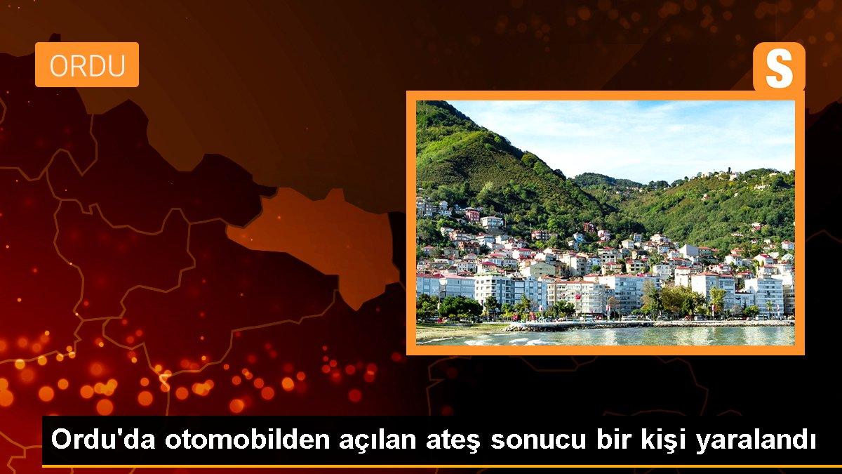 Ordu\'da otomobilden açılan ateş sonucu bir kişi yaralandı