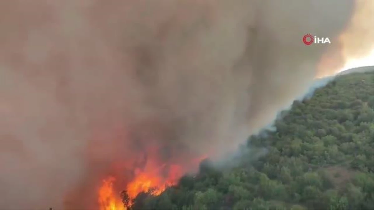 Slovenya\'da orman yangını: 4 köy tahliye edildi