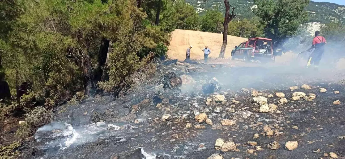 Çameli\'nde çıkan orman yangını büyümeden söndürüldü