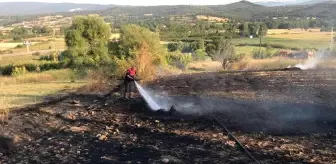 Çanakkale'de anız yangını