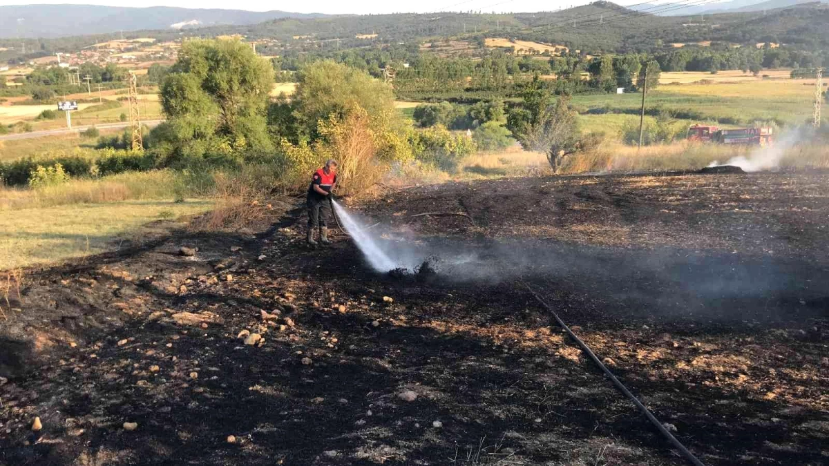 Çanakkale\'de anız yangını